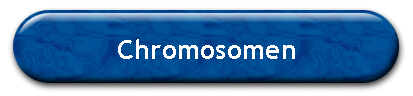 Chromosomen