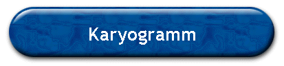 Karyogramm