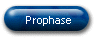 Prophase